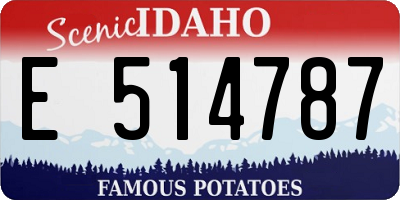 ID license plate E514787