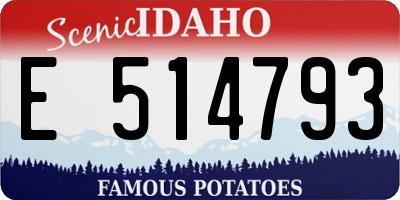 ID license plate E514793