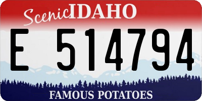 ID license plate E514794