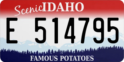 ID license plate E514795