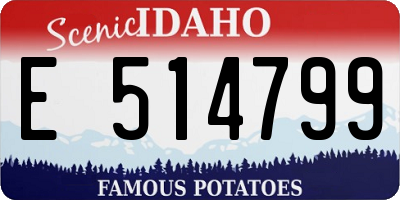 ID license plate E514799