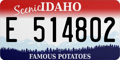 ID license plate E514802