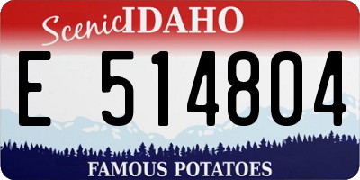 ID license plate E514804