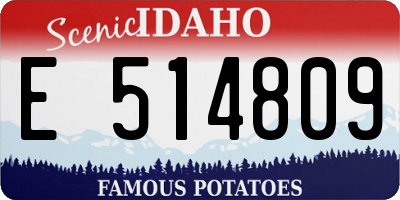 ID license plate E514809