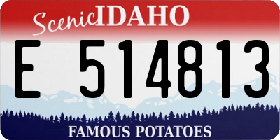 ID license plate E514813