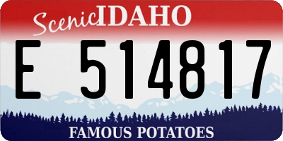 ID license plate E514817