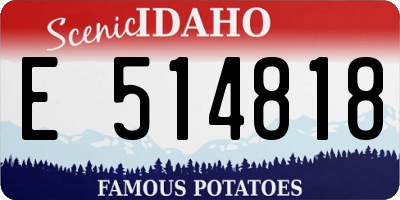 ID license plate E514818
