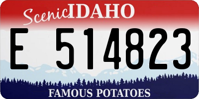 ID license plate E514823