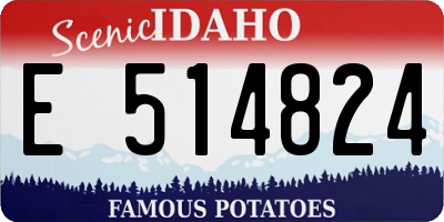 ID license plate E514824