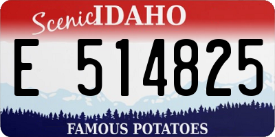 ID license plate E514825