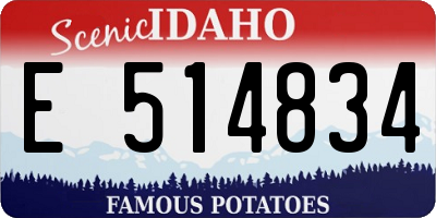ID license plate E514834