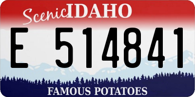 ID license plate E514841