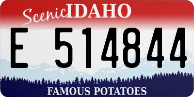 ID license plate E514844