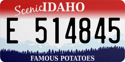 ID license plate E514845