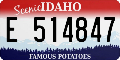 ID license plate E514847