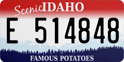 ID license plate E514848
