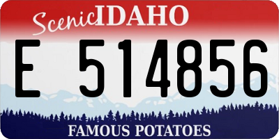 ID license plate E514856