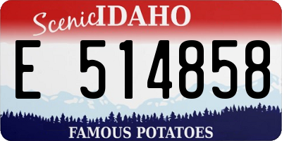 ID license plate E514858