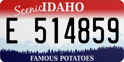 ID license plate E514859
