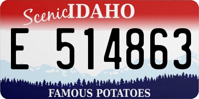 ID license plate E514863