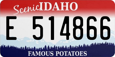 ID license plate E514866