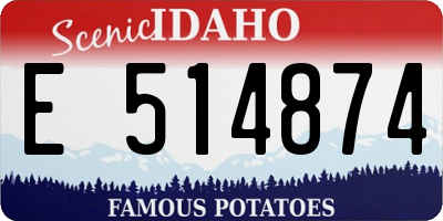 ID license plate E514874