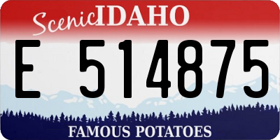 ID license plate E514875