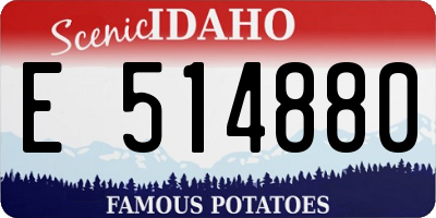 ID license plate E514880