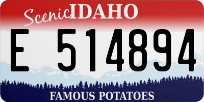 ID license plate E514894
