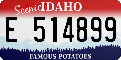 ID license plate E514899
