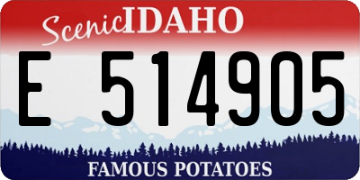 ID license plate E514905