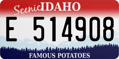 ID license plate E514908