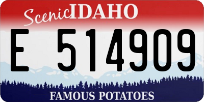 ID license plate E514909