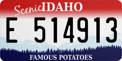 ID license plate E514913