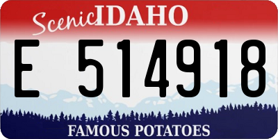 ID license plate E514918