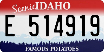 ID license plate E514919