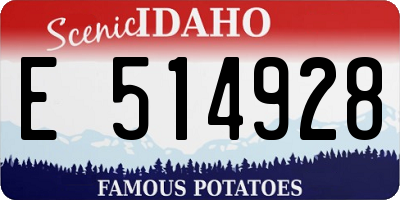 ID license plate E514928