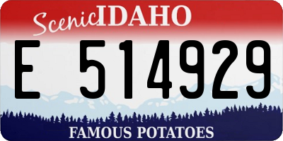 ID license plate E514929