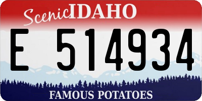 ID license plate E514934