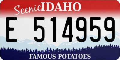 ID license plate E514959