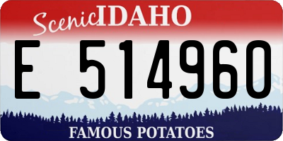 ID license plate E514960