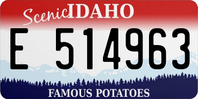 ID license plate E514963