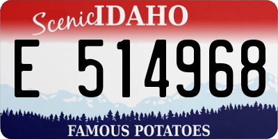 ID license plate E514968
