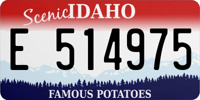 ID license plate E514975
