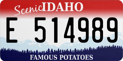 ID license plate E514989