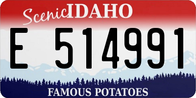 ID license plate E514991