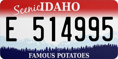 ID license plate E514995