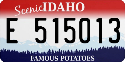 ID license plate E515013