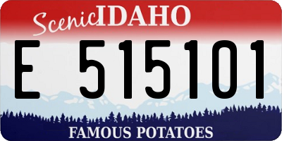ID license plate E515101