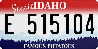 ID license plate E515104